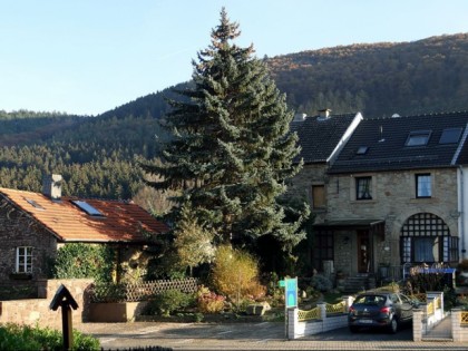 照片: Burg-Molbach